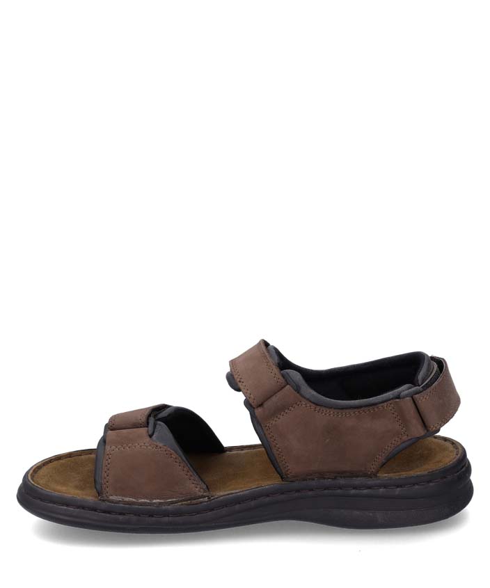 Josef Seibel Rafe - Brown
