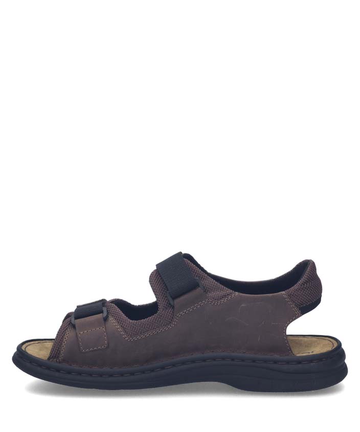 Josef Seibel Max 61 - Brown