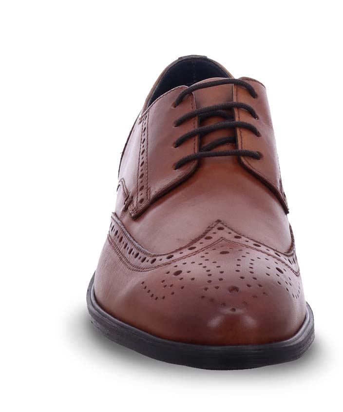 Josef Seibel Jonathan 05 - Brown
